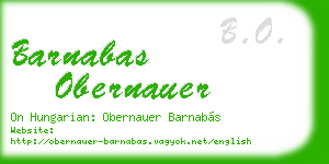 barnabas obernauer business card