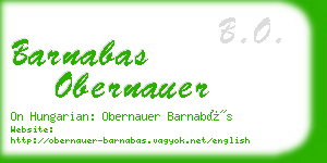 barnabas obernauer business card